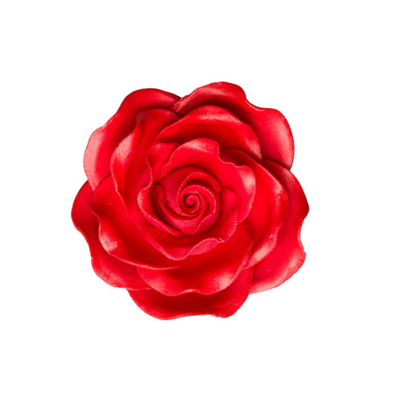 2.5" Queen Elizabeth Rose - Red