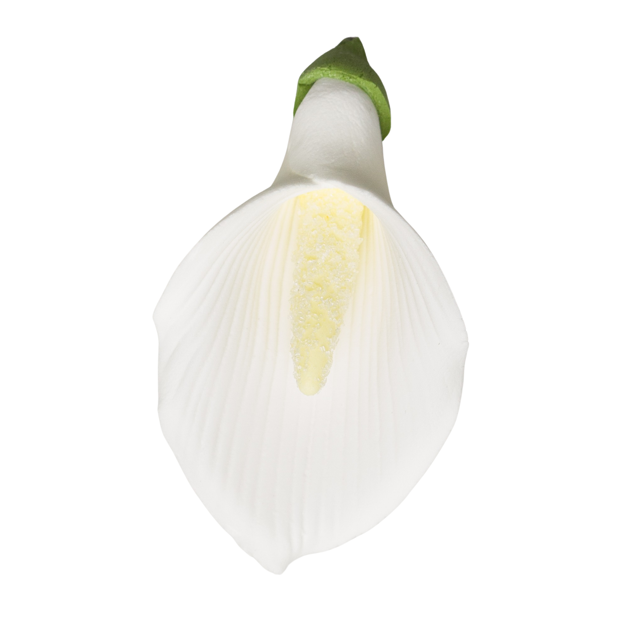 2.5