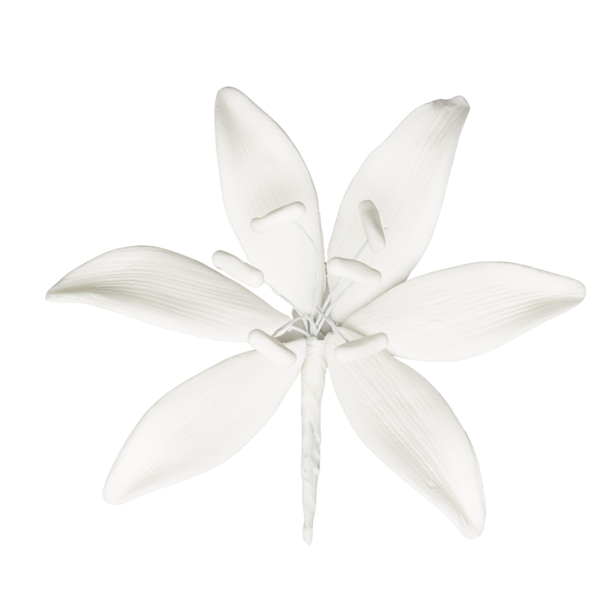 216306.png?v=1708053202