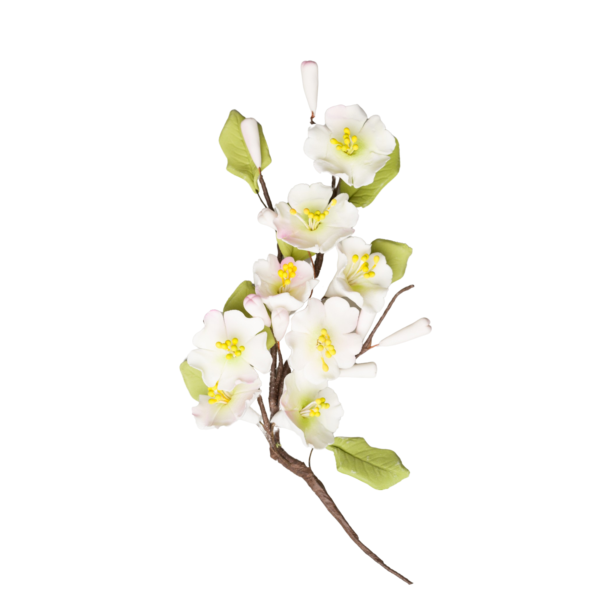 412000-3-Edit.png?v=1707872800