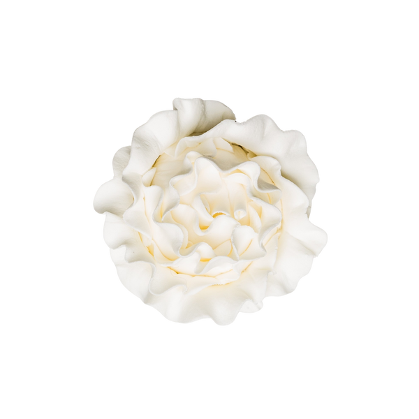 2" Piaget Rose - White