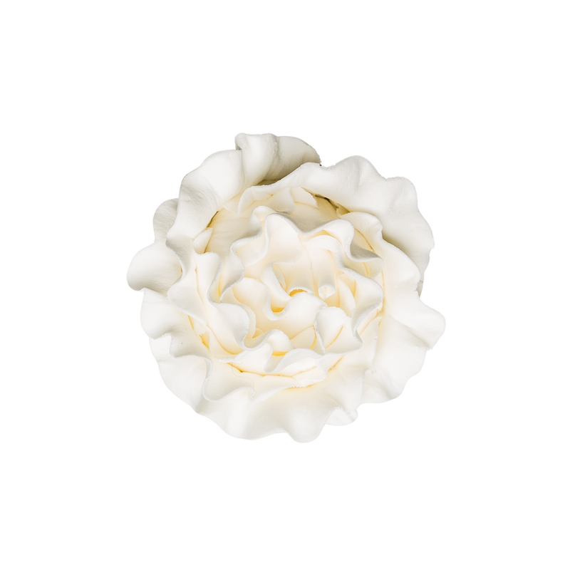 2" Piaget Rose - White