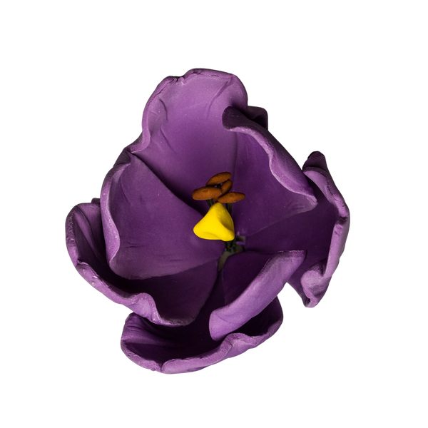 2" French Tulip - Purple