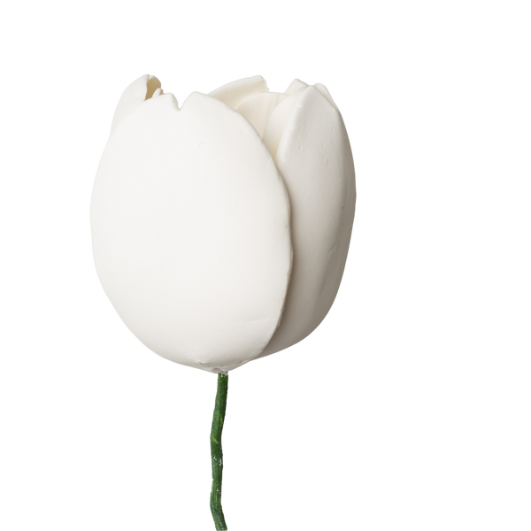 4" French Tulip - White