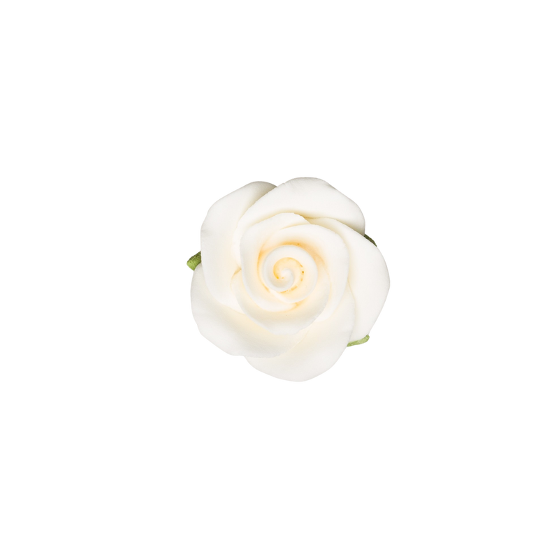 Rosa de 1.25" con cáliz - Pequeña - Marfil