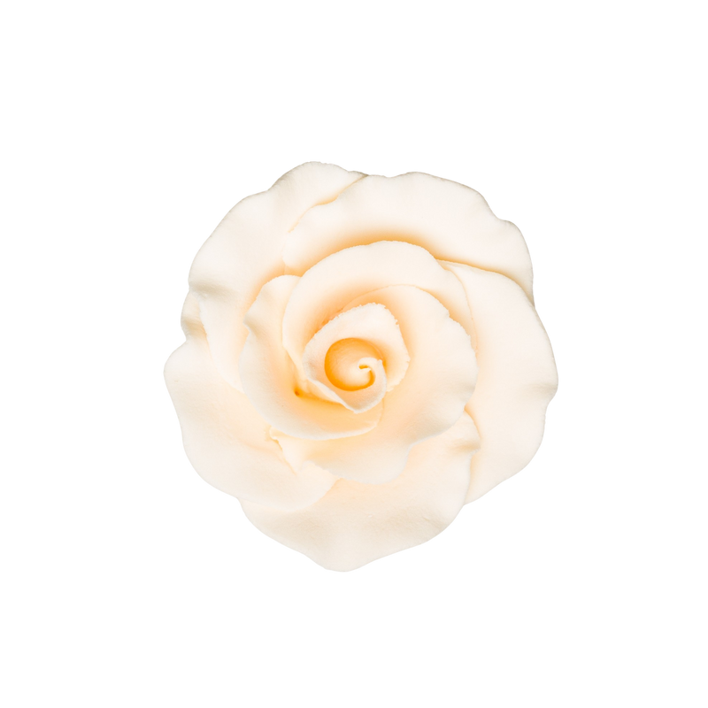 Rosa Formal de 2" - Crema