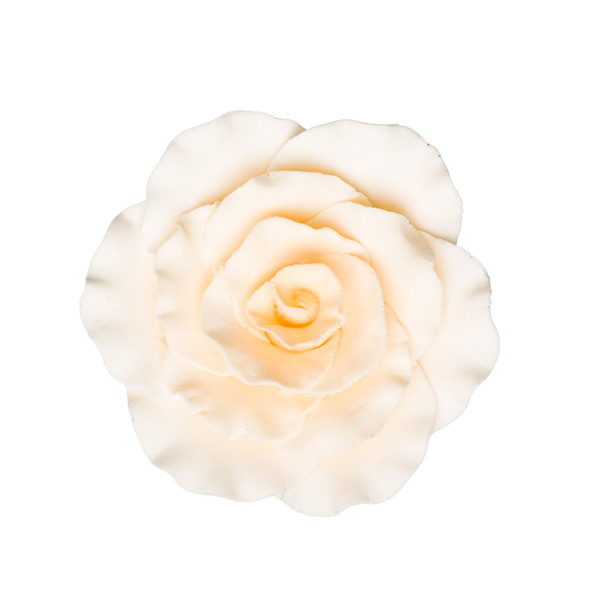 Rosa Formal de 3" - Crema
