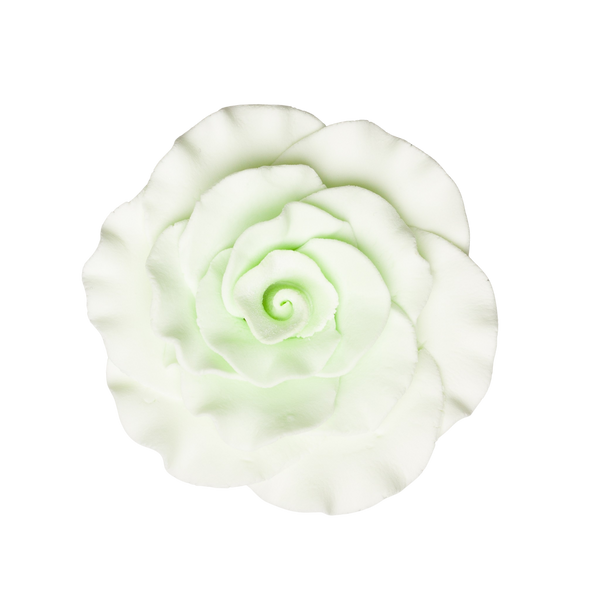 3" Formal Rose - Mint Green