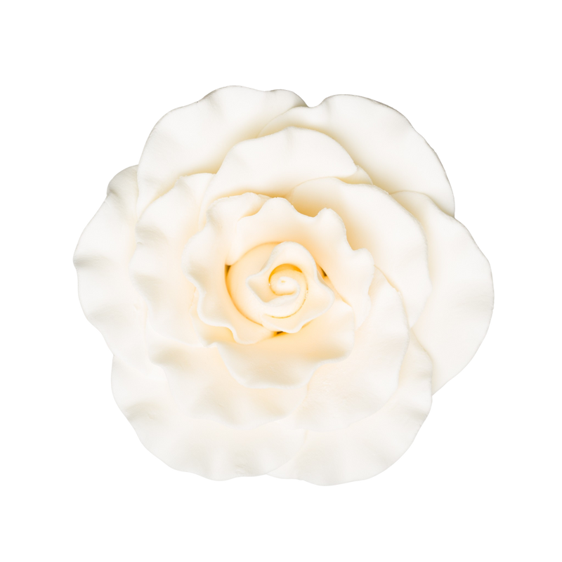 4" Formal Rose - Ivory