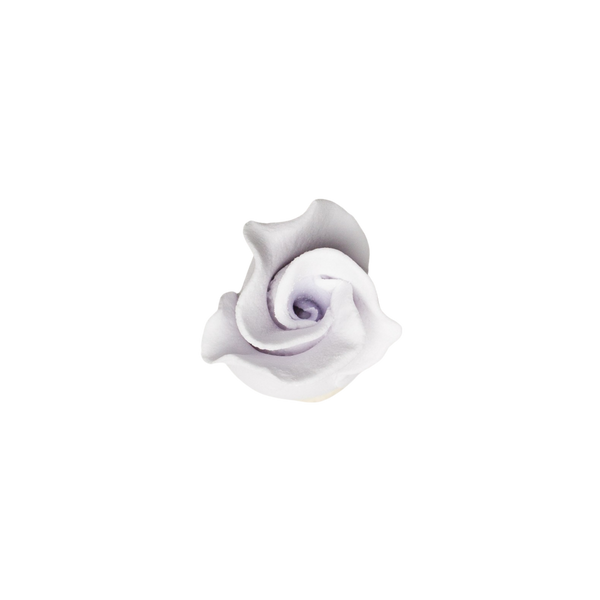Rosebud -  Open -  Lavender