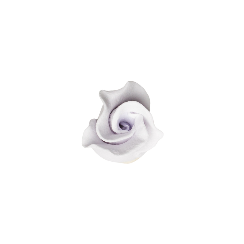 Rosebud -  Open -  Lavender