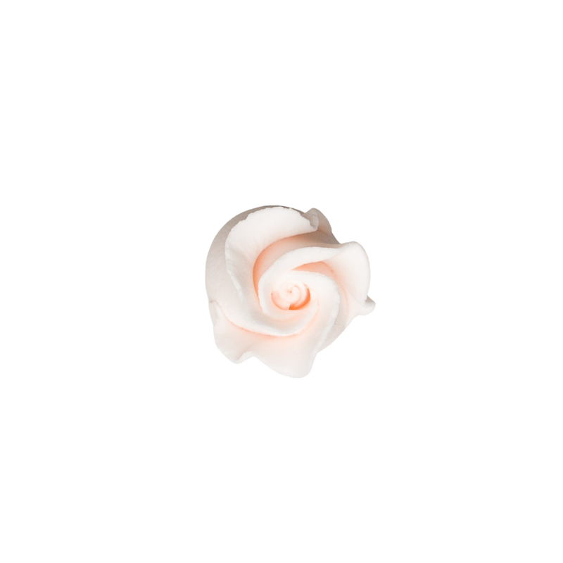 Rosebud -  Open -  Peach