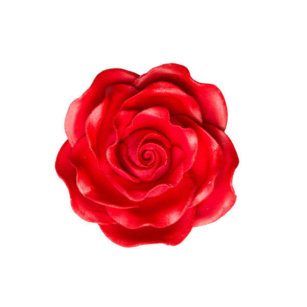 2.5" Queen Elizabeth Rose - Red