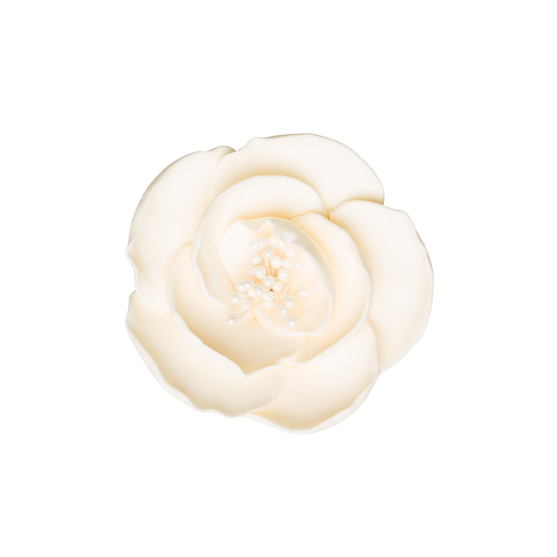 3" Briar Rose - Ivory - Medium