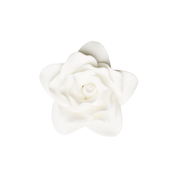 3" Star Rose - White - Medium
