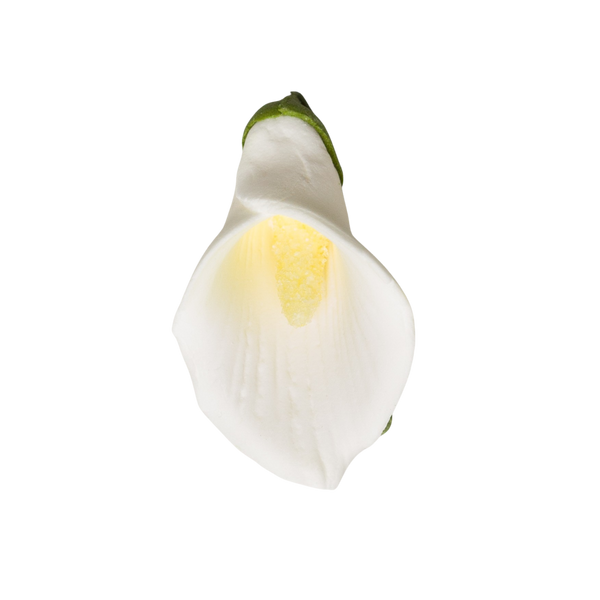 2-1/8" Calla Lily - Medium - White