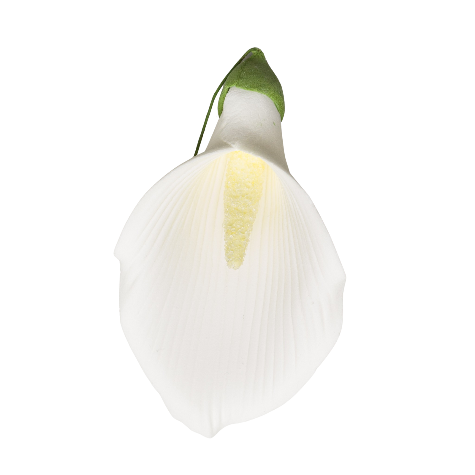 large white calla lilies 3.5" Calla Lily - Large