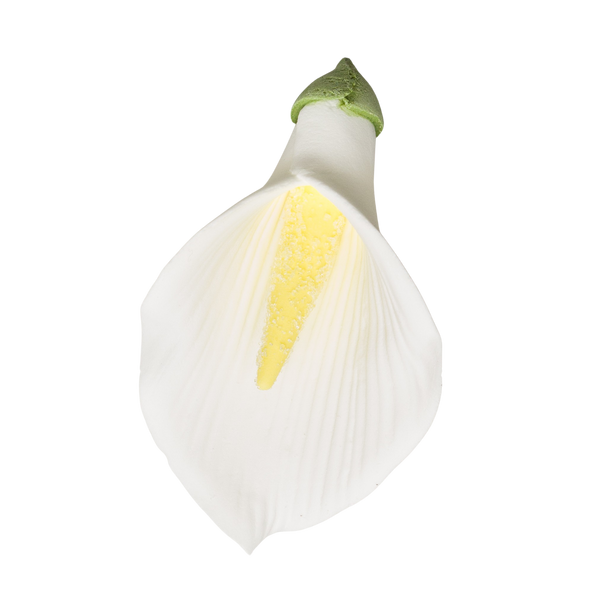 2.5" Calla Lily sin cable - Med/Lg - Blanco