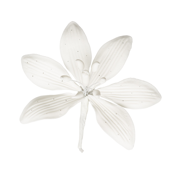 3.5" Stargazer Lily - Grande - Blanco