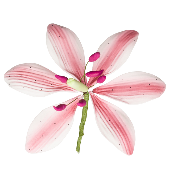 3.5" Stargazer Lily - Large - Dusty Rose