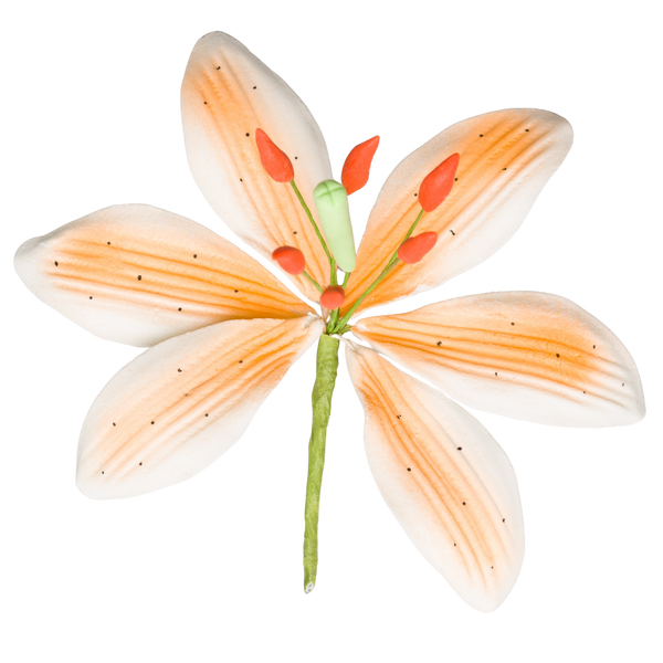 3.5" Stargazer Lily - Large - Orange