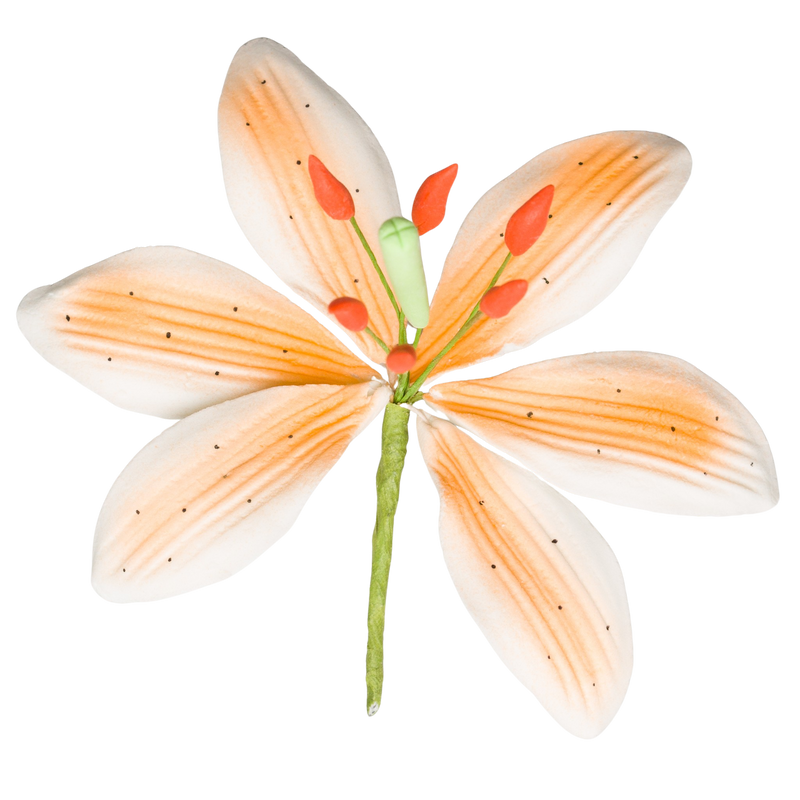 3.5" Stargazer Lily - Grande - Naranja