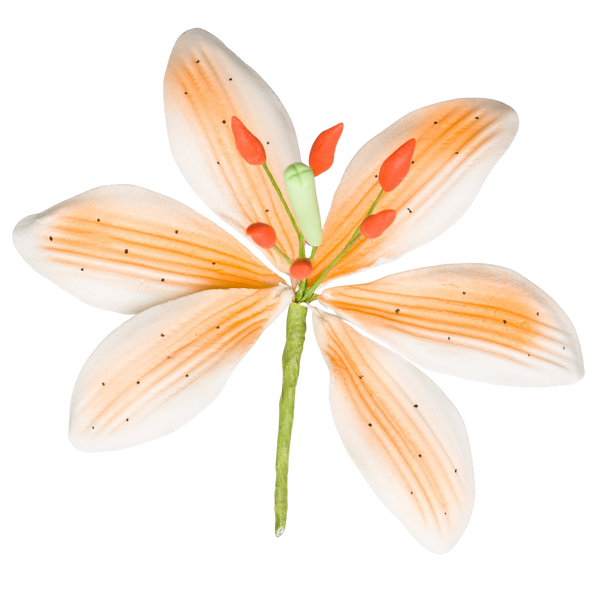 Lily IsoESuper Hedione Galaxolide その他 3.5