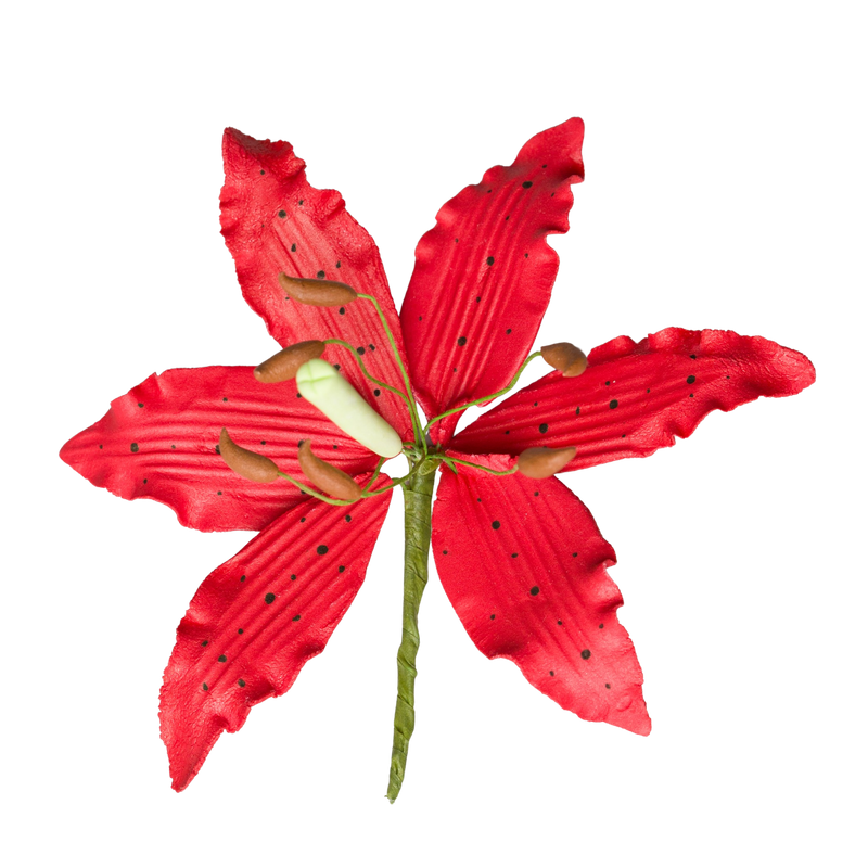 4" Lily (Lilium) - Red