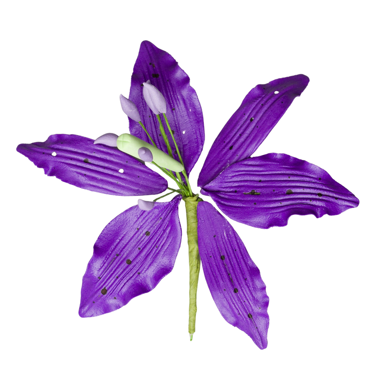 Lirio de 4" (Lilium) - Púrpura