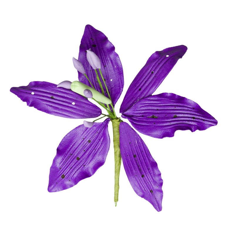 lily purple and white 4" Lily (Lilium)