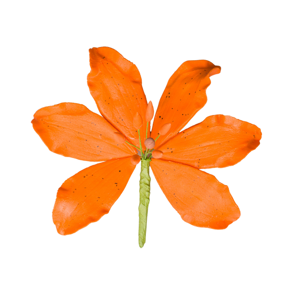 4" Tiger Lily - Naranja