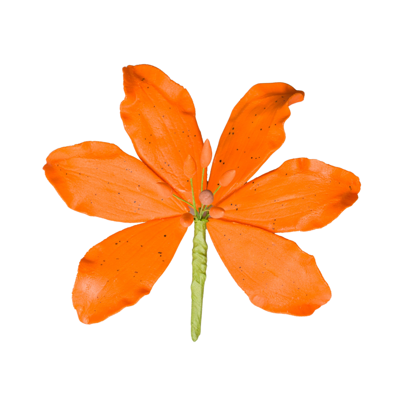tiger lily png 4" Tiger Lily