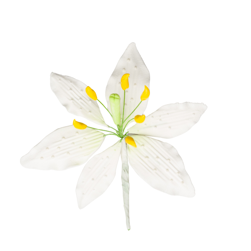 3.5" Casa Blanca Lily - Mediano - Blanco