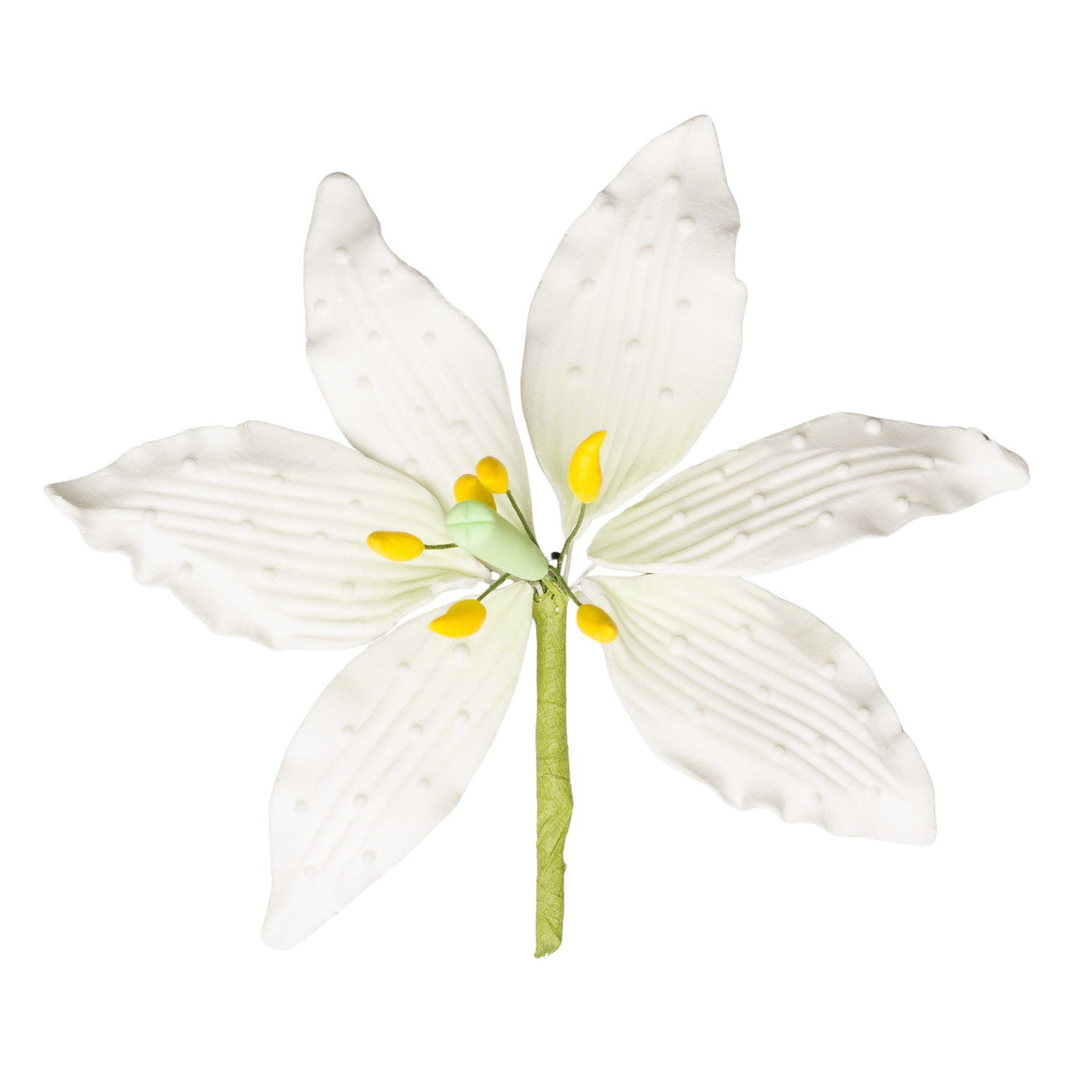 white casablanca lily 4.5" Casa Blanca Lily - Large