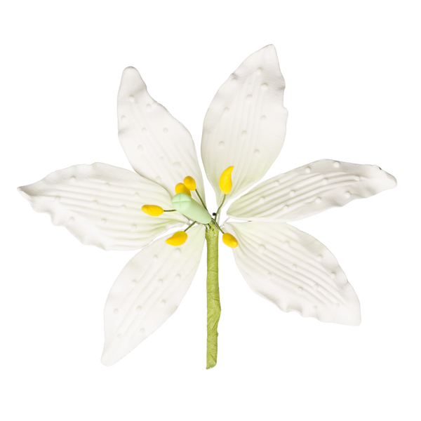 4.5" Casa Blanca Lily - Grande - Blanco