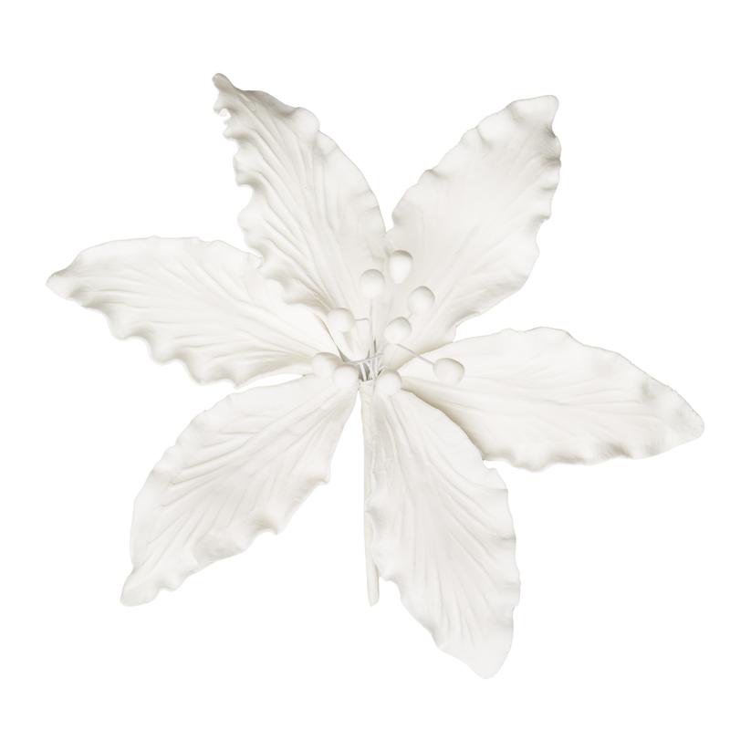 5" Casa Blanca Lily - XL - White