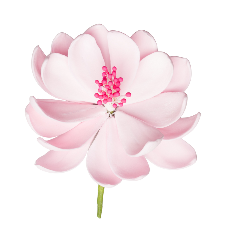 3" Lotus - Pink