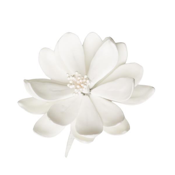 3" Lotus -  White