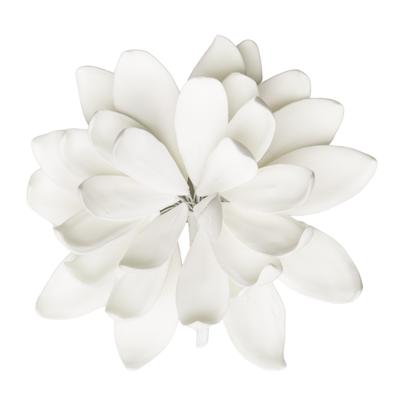 5" Lotus - X-Large - White