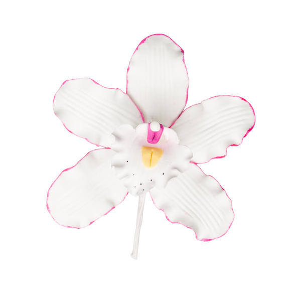 3.5" Cymbidium Orchid - Medium - White w/Pink