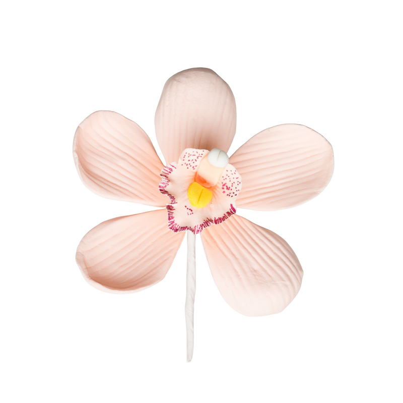 3.5" Cymbidium Orchid - Large - Peach