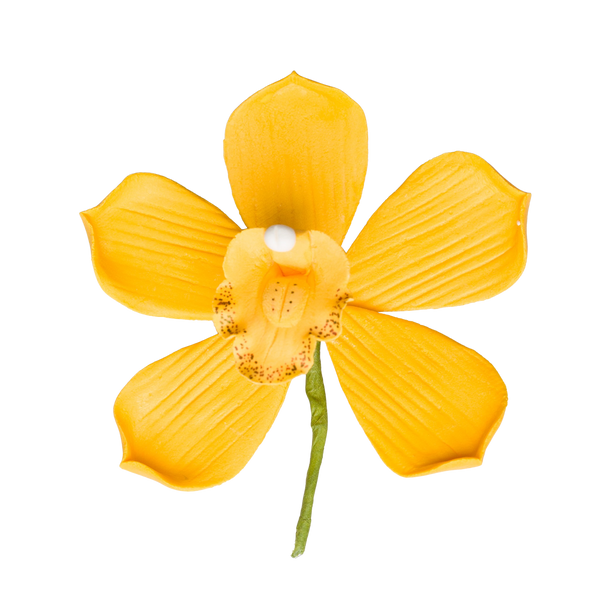3.5" Cymbidium Orchid - Large - Artful Magic Yellow