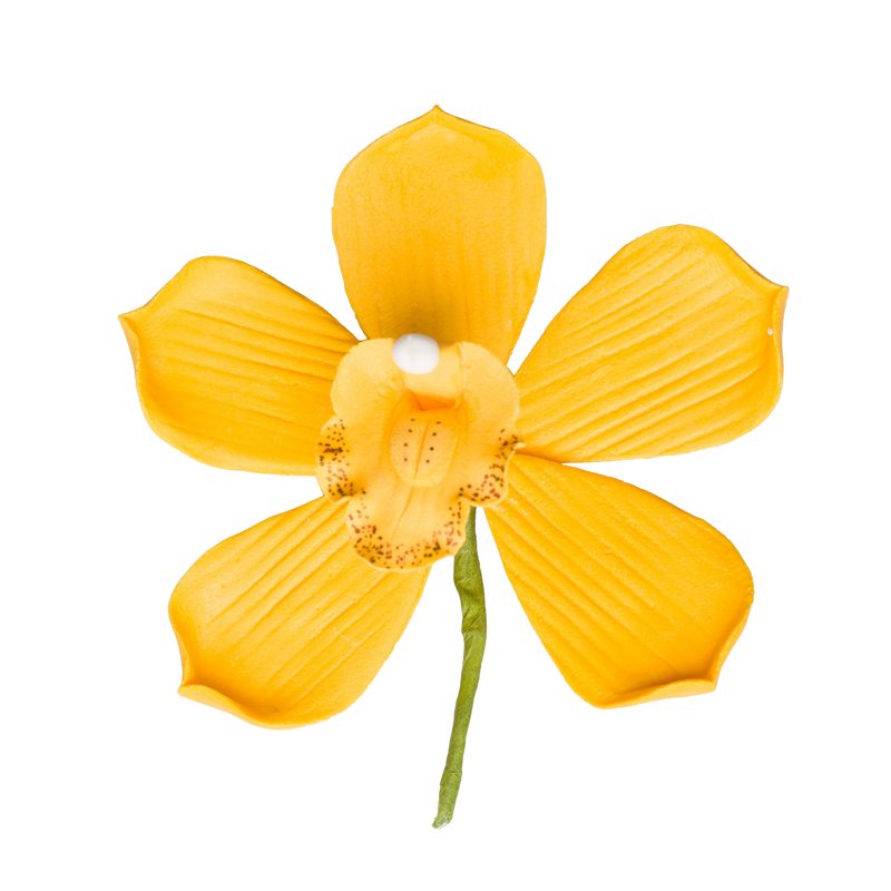 3.5" Cymbidium Orchid - Large - Artful Magic Yellow