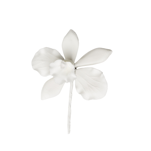 1.5" Cattleya Orchid - Petite - White