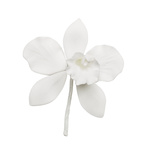 Orquídea Cattleya de 2.5" - Pequeña - Blanca