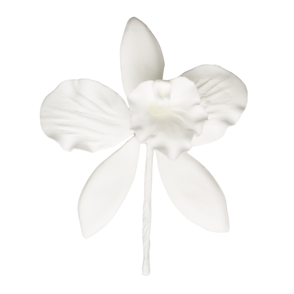 Orquídea Cattleya de 3" - Mediana - Blanca