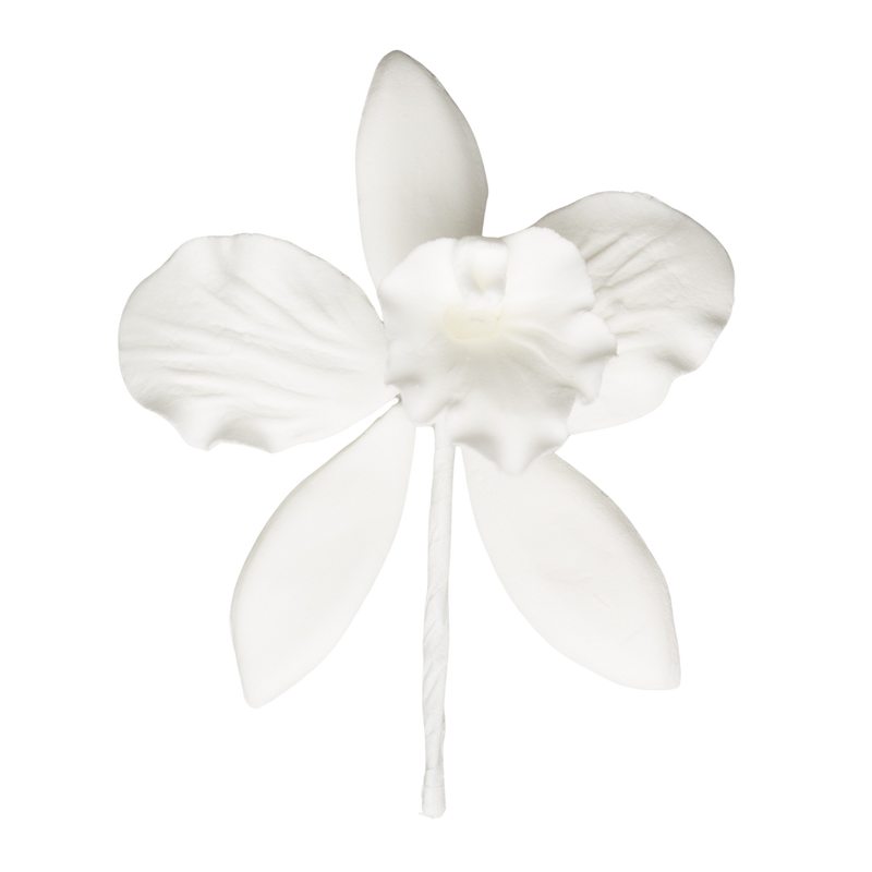 3" Cattleya Orchid - Medium - White