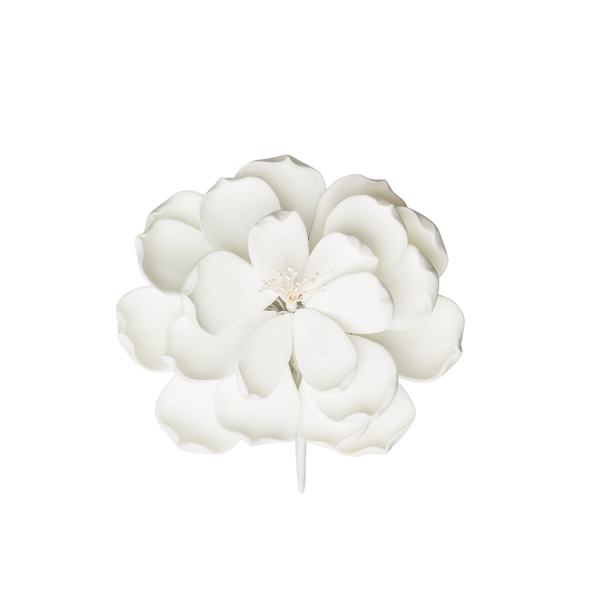 3.5" Dahlia Orchid - White