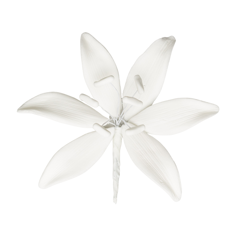 white wild lily 4" Wild Lily