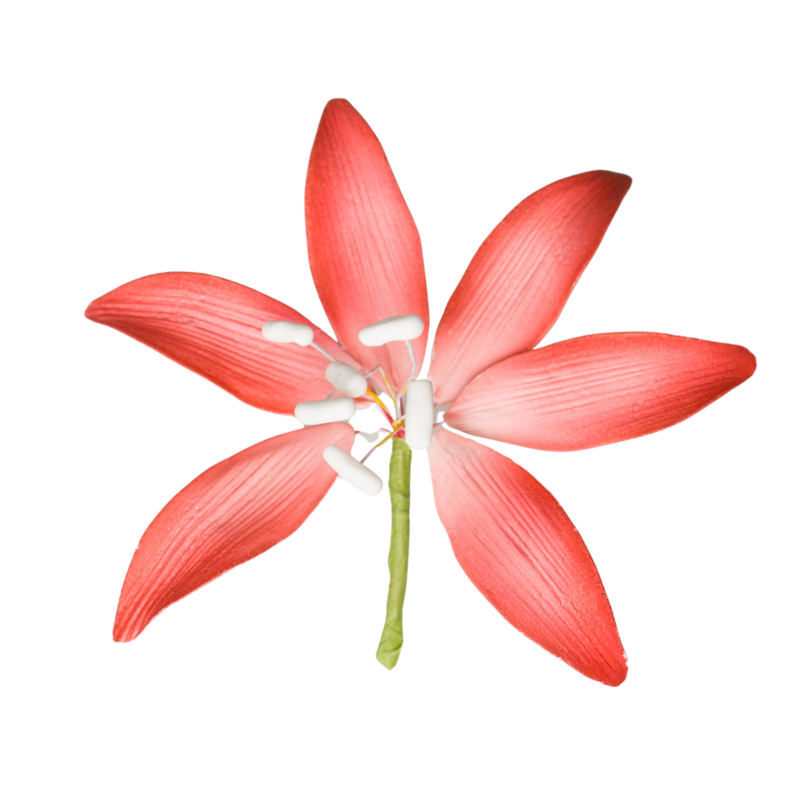 216399-2_1600x.png?v=1708053181